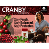 CRANBY DIETARY SUPPLEMENT ( CRANBERRY EXT. + LINGONBERRY + D-MANNOSE + BERBERINE (GOLDEN SEAL) + UVA URSI ) 20 CAPSULES CRANBY DIETARY SUPPLEMENT ( CRANBERRY EXT. + LINGONBERRY + D-MANNOSE + BERBERINE (GOLDEN SEAL) + UVA URSI ) 20 CAPSULES